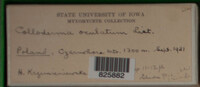 Image Associated With the Occurence
